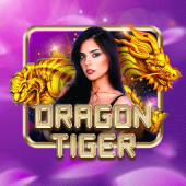 Dragon Tiger game zone app casino