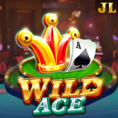 Wild Ace game zone app games
